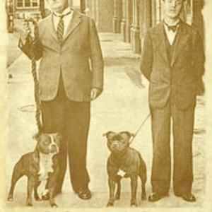 Meet your Posher, J michael